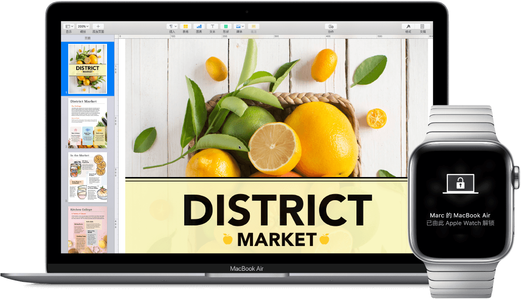 使用 Apple Watch 解锁 Mac 示意图