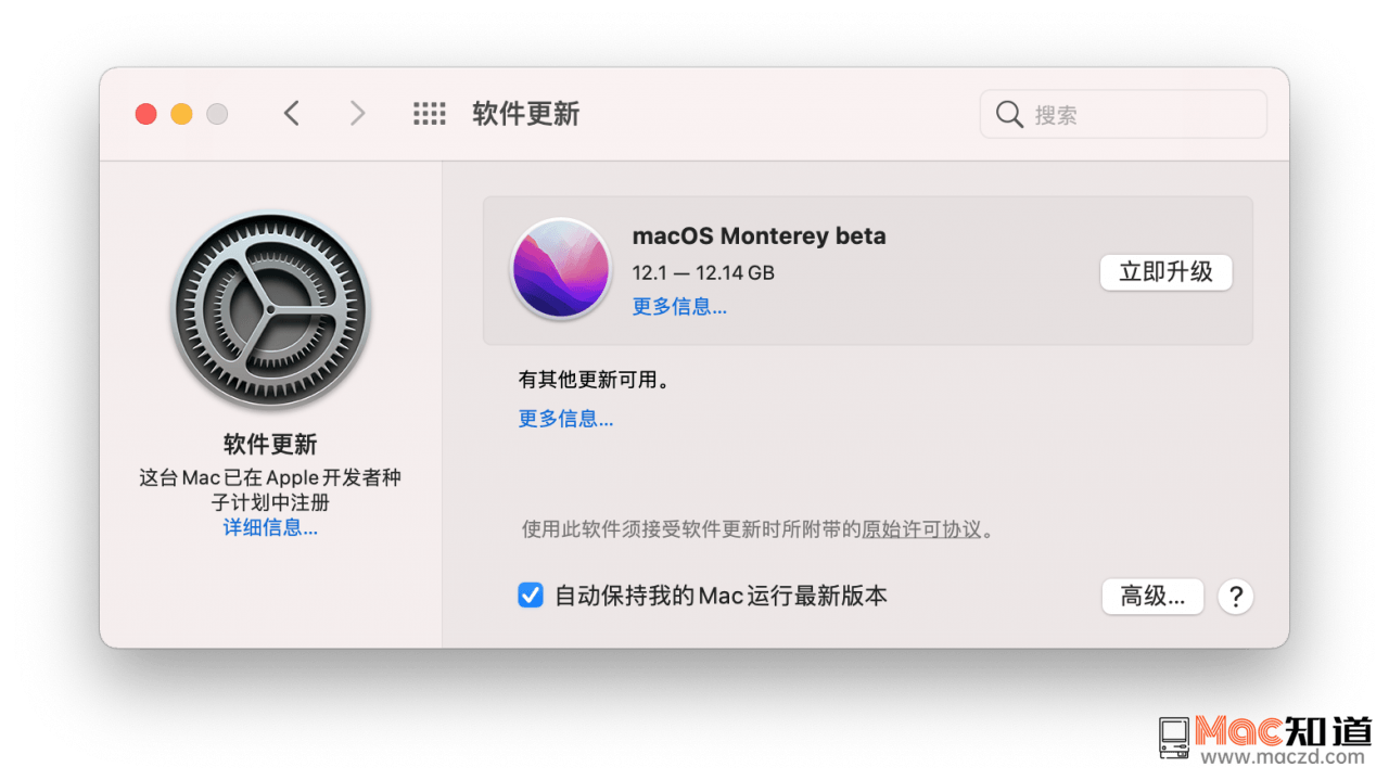 参与macOS Beta 计划的Mac更新提示